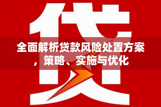 桓台全面解析贷款风险处置方案，策略、实施与优化