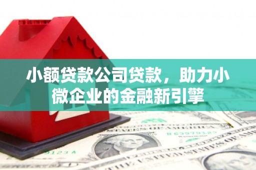 桓台小额贷款公司贷款，助力小微企业的金融新引擎
