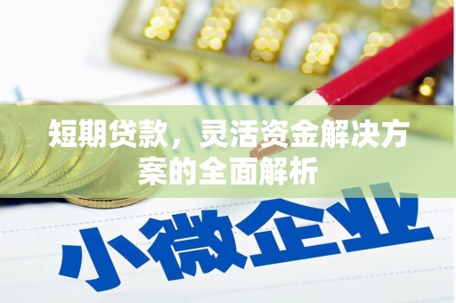 桓台短期贷款，灵活资金解决方案的全面解析