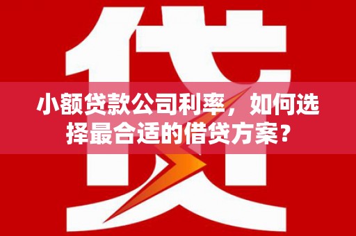 桓台小额贷款公司利率，如何选择最合适的借贷方案？