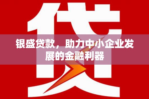 桓台银盛贷款，助力中小企业发展的金融利器