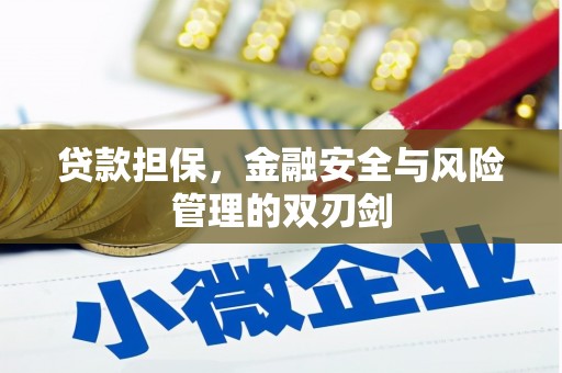 桓台贷款担保，金融安全与风险管理的双刃剑