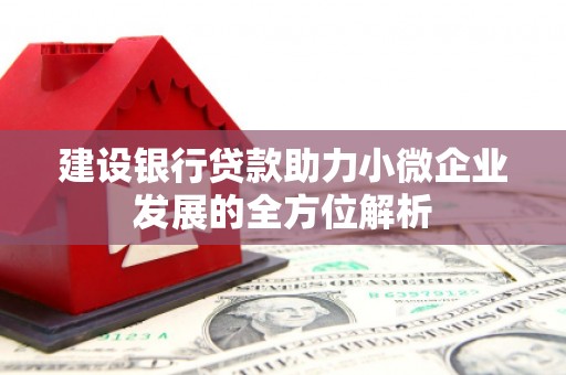 桓台建设银行贷款助力小微企业发展的全方位解析