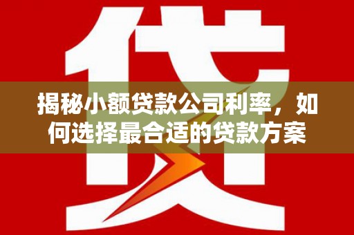 桓台揭秘小额贷款公司利率，如何选择最合适的贷款方案