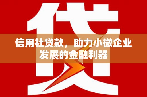 桓台信用社贷款，助力小微企业发展的金融利器