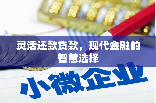 桓台灵活还款贷款，现代金融的智慧选择