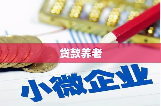 桓台贷款养老