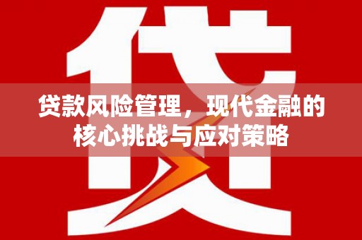 桓台贷款风险管理，现代金融的核心挑战与应对策略