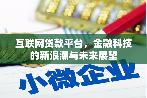 桓台互联网贷款平台，金融科技的新浪潮与未来展望