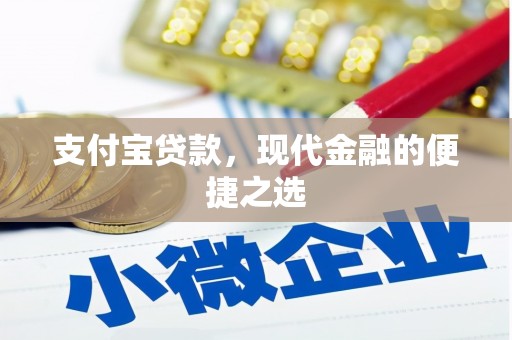 桓台支付宝贷款，现代金融的便捷之选