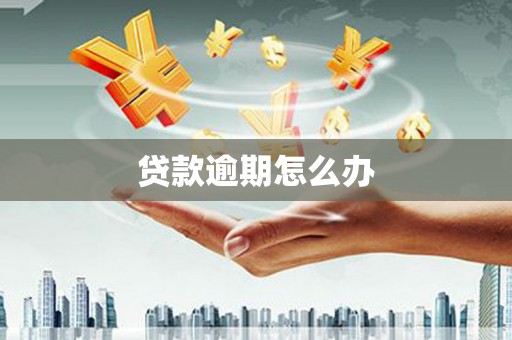 桓台贷款逾期怎么办