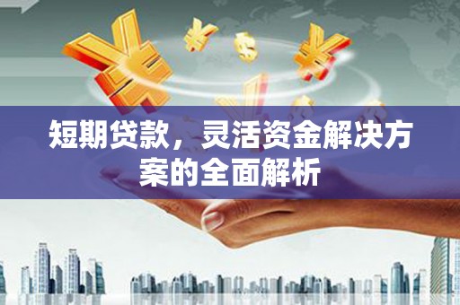 桓台短期贷款，灵活资金解决方案的全面解析