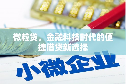 桓台微粒贷，金融科技时代的便捷借贷新选择