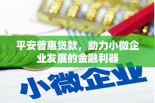 桓台平安普惠贷款，助力小微企业发展的金融利器