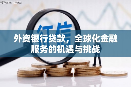 桓台外资银行贷款，全球化金融服务的机遇与挑战