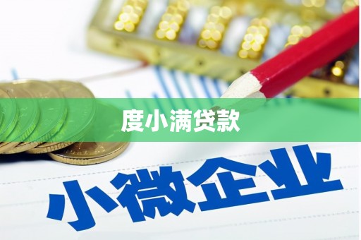 桓台度小满贷款
