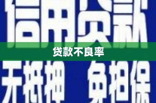 桓台贷款不良率