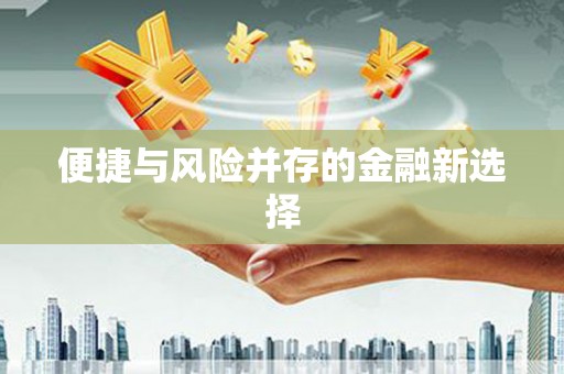 桓台便捷与风险并存的金融新选择