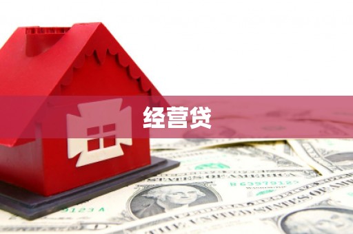 桓台经营贷