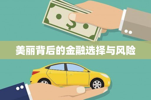 桓台美丽背后的金融选择与风险