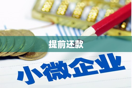 桓台提前还款
